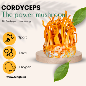 Σκόνη Cordyceps 100 g