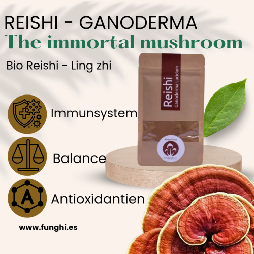 Reishi benefits