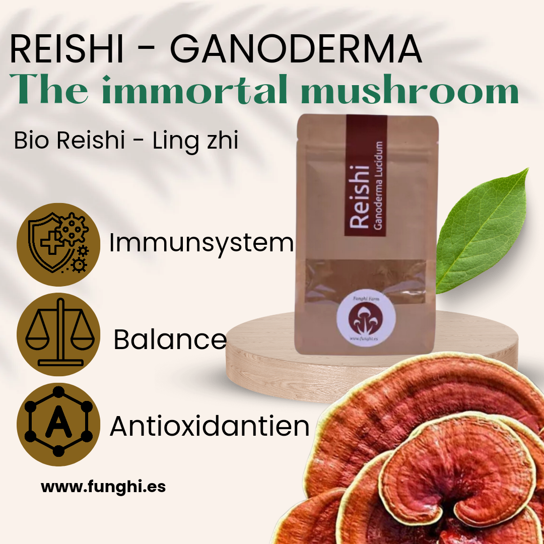 Reishi benefits