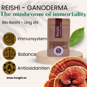 Reishi em pó biológico - 100 g