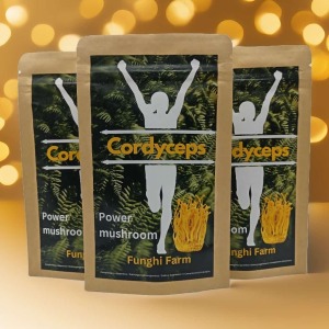 Cordyceps Pulver 100 g