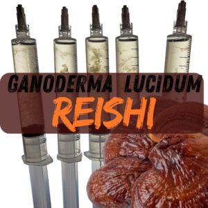 🍄 Σύριγγα μυκηλίου Reishi 10 ml