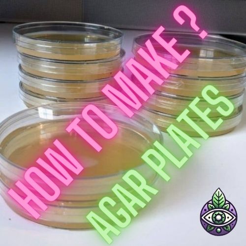 Agar Plates - How to